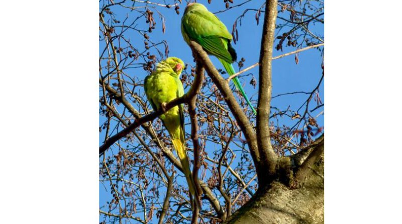 Allen ein gesundes und erfolgreiches neues Jahr 2026!